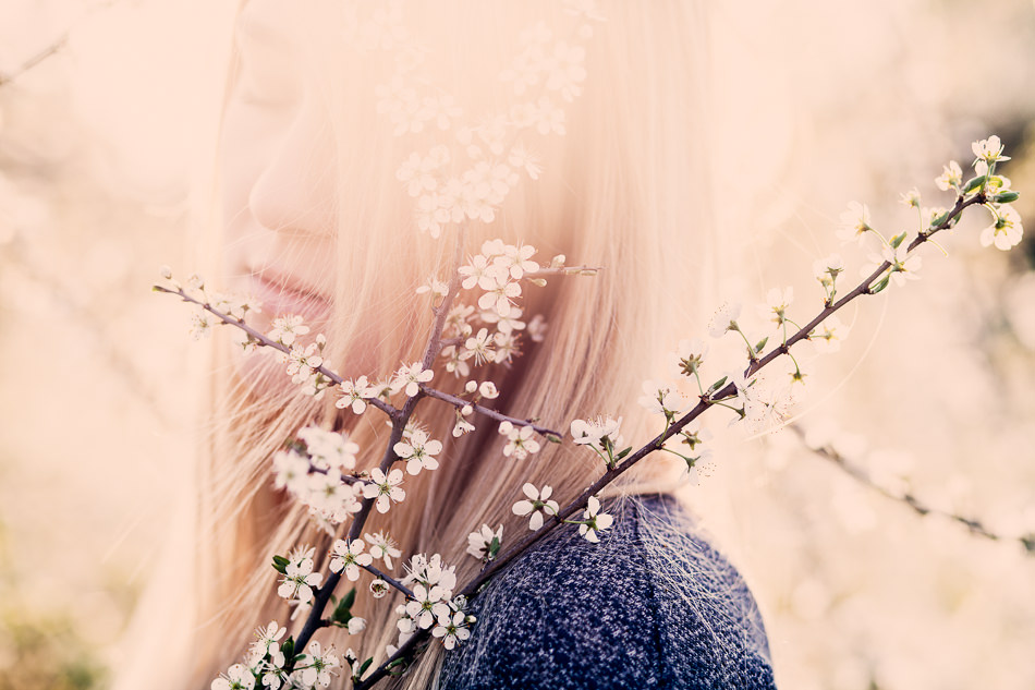 Blossoms