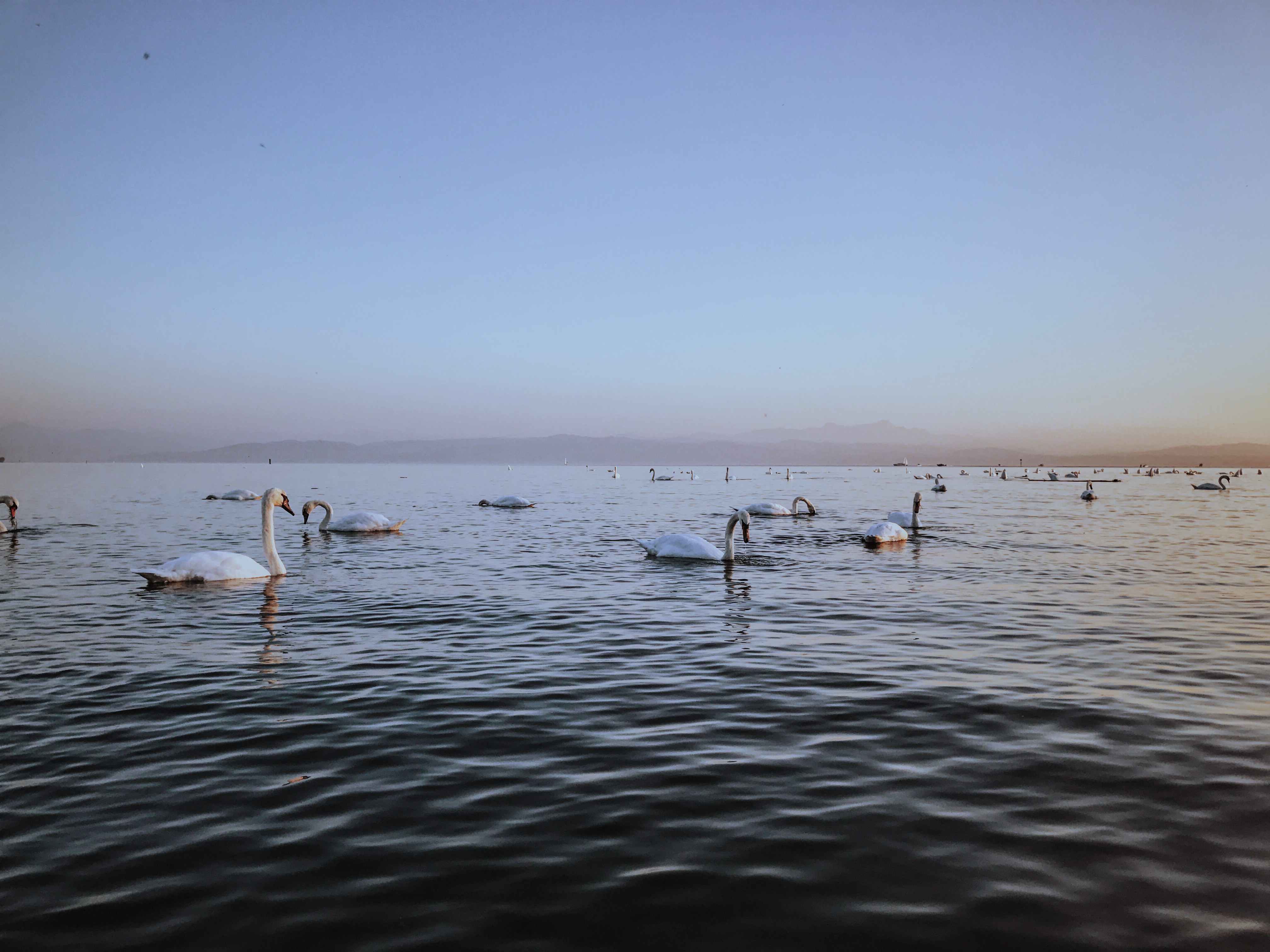 Processed with VSCO with m5 preset