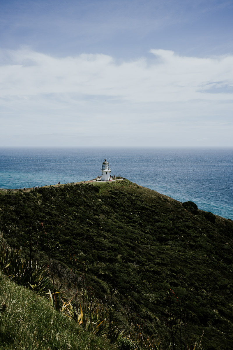 Things to do in Northland, NZ